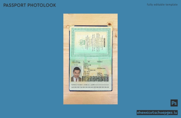 Beispielansicht eines Passfotos aus Pakistan